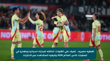 تغطية حصرية.. تعرف على القنوات الناقلة لمباراة إسبانيا وبلغاريا في تصفيات كأس العالم 2026 وكيفية المشاهدة عبر الإنترنت